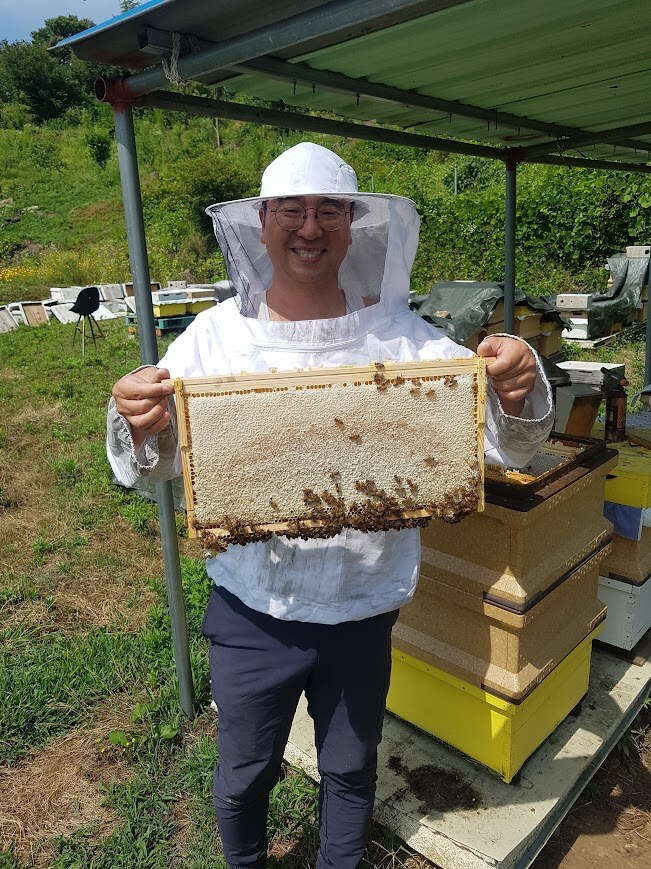 구례 천연 자연 숙성꿀 1.2kg (한번뜬 야생화꿀, 무방부제, 무농약, 무농축)