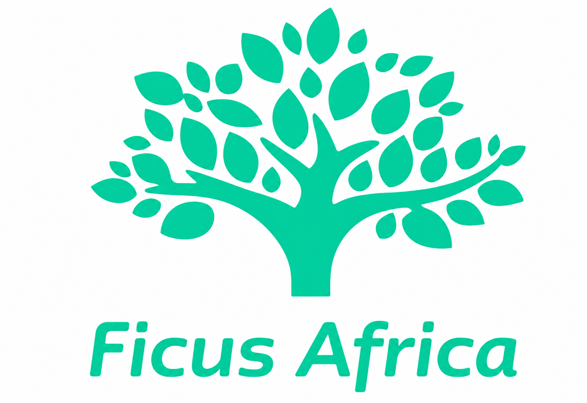 FICUSAFRICA GMCCP™   (GLOBAL METAVERSE CASTER CERTIFICATION PROGRAM