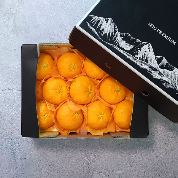 [굿파머] 제주 레드향 선물세트 2.5kg(중과)