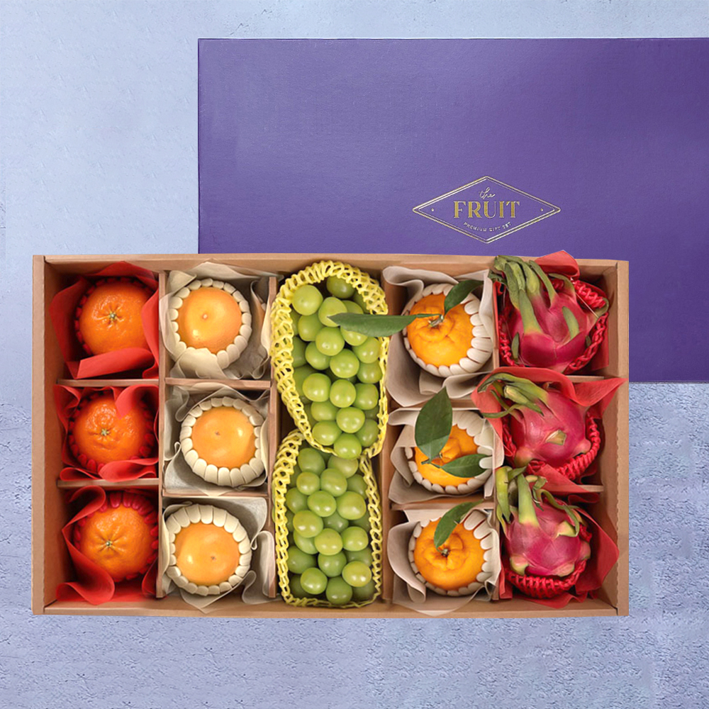 [굿파머] 프리미엄 혼합 과일세트 5호 (한라봉/레드향/샤인/자몽/용과)