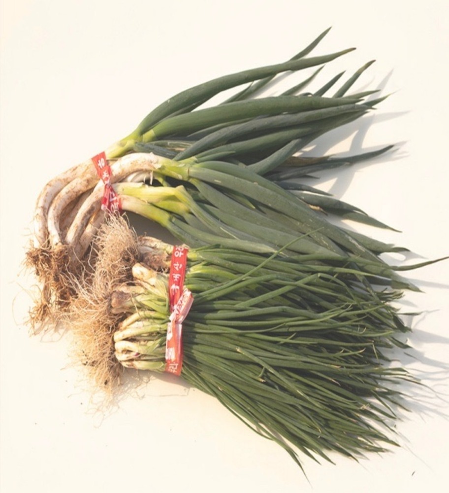 노지에서 키운 대파(무농약), 쪽파