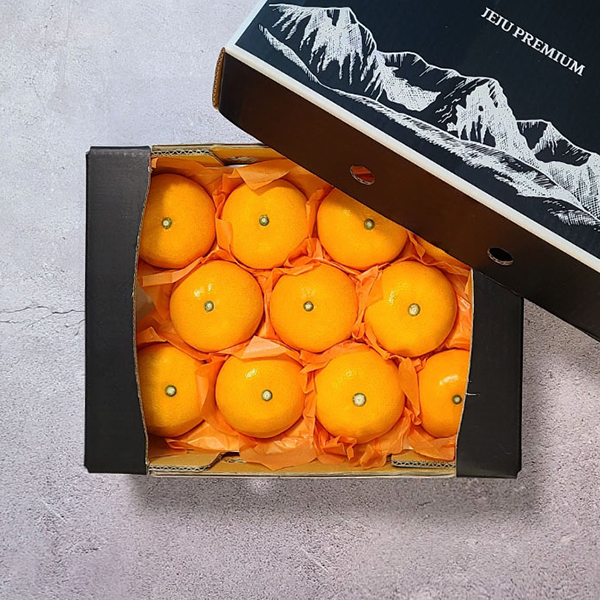 [굿파머] 제주 천혜향 선물세트 2.5kg(중과)