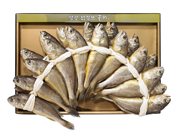 [칠산해] 영광법성포 참굴비세트 4호