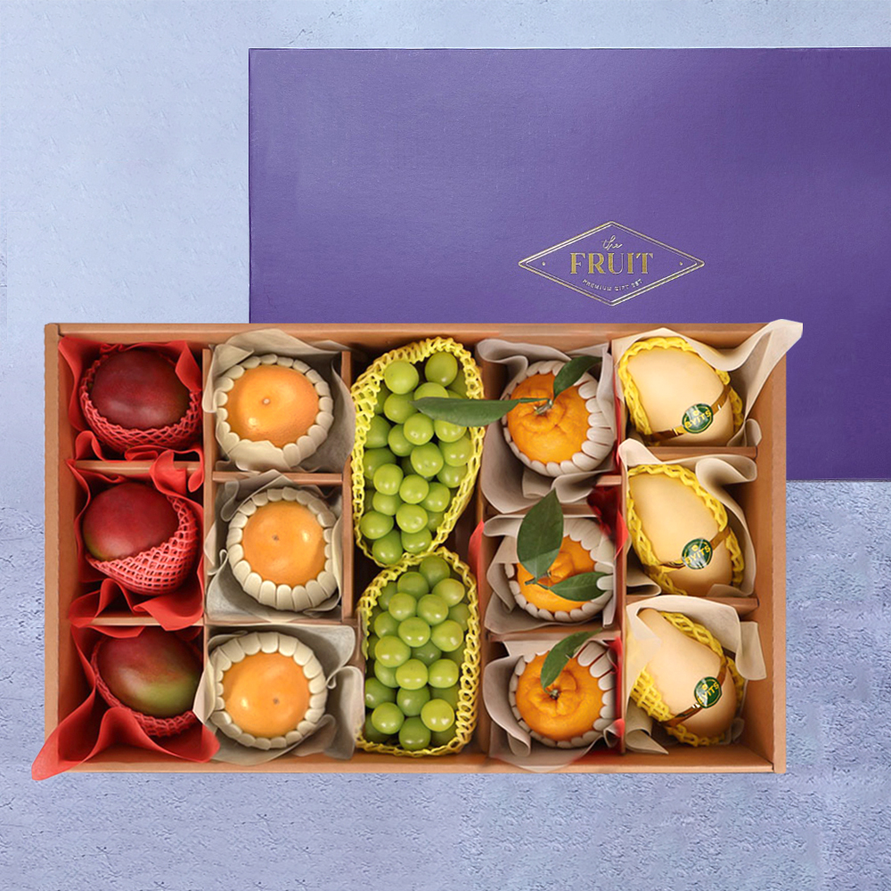 [굿파머] 프리미엄 혼합 과일세트 4호 (한라봉/레드향/샤인/망고)