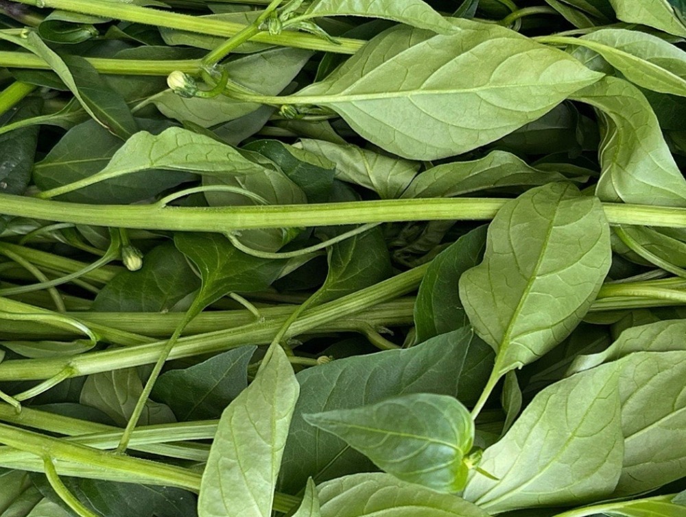 무농약 고춧잎 1kg