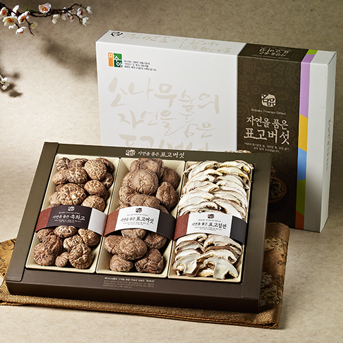 [강원도 설악산] 마수아 혼합 버섯세트 2호