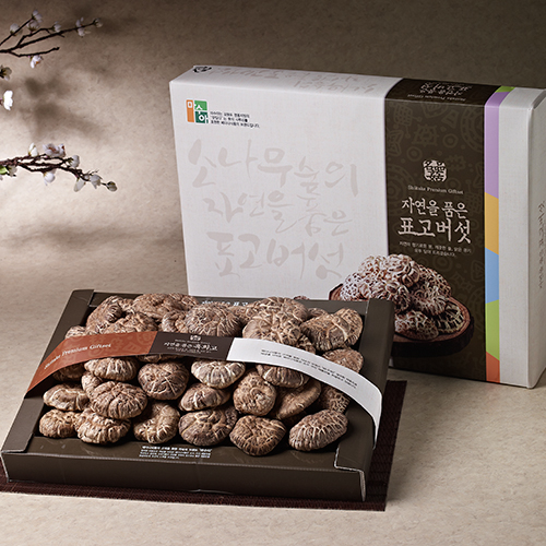 [강원도 설악산] 마수아 흑화고세트 500g