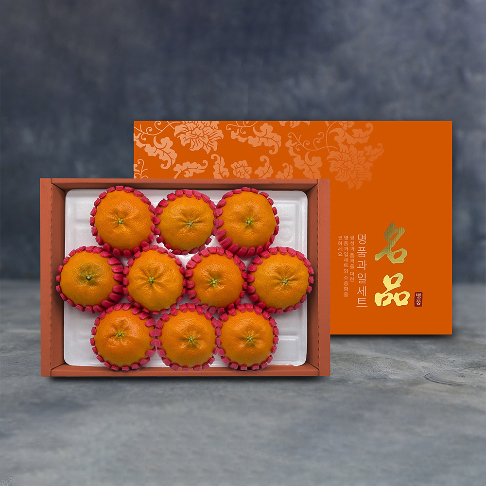 [노블] 제주 레드향 고급 선물세트 (2kg/9~11과)