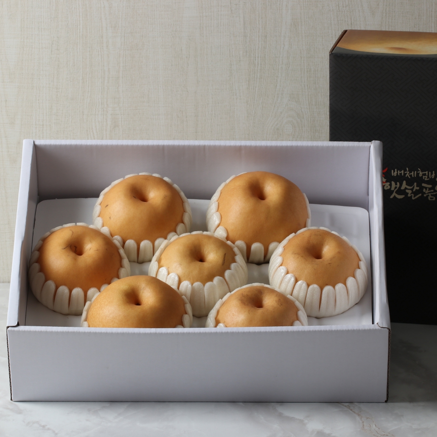 햇살품은 명품 나주배 5kg (5-6과)