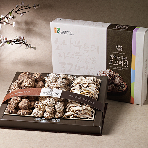 [강원도 설악산] 마수아 혼합 버섯세트 3호