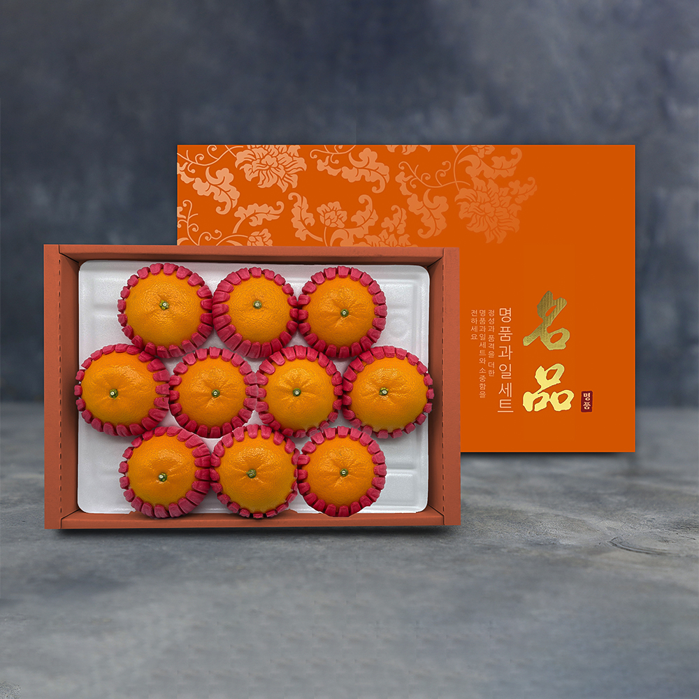 [노블] 제주 천혜향 고급 선물세트 (2kg/9~11과)