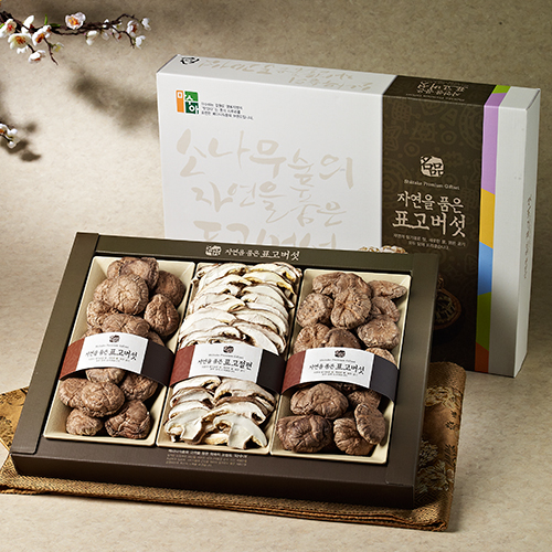 [강원도 설악산] 마수아 혼합 버섯세트 5호