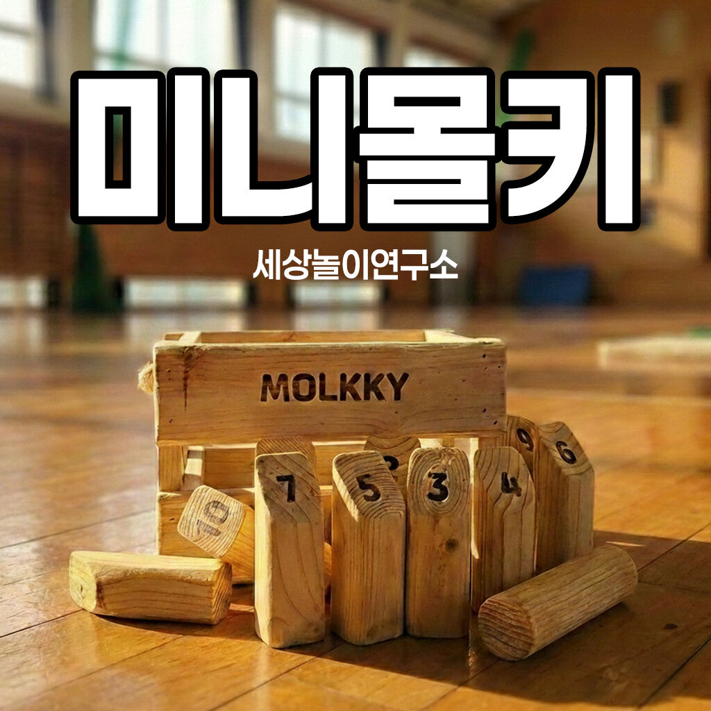 세상놀이연구소 미니몰키 세트