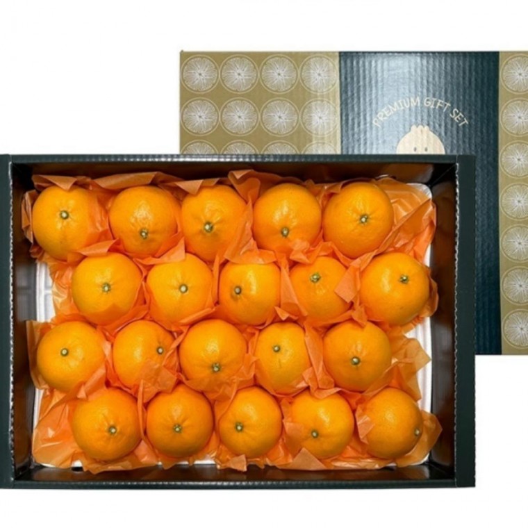 명절 설날 과일 천혜향 선물세트 2kg 중대과 답례품 단체 선물