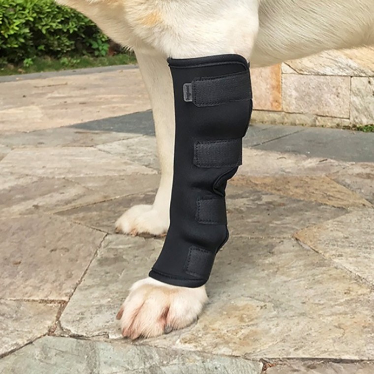 [쵸알쓰] 펫츠런 슬개골탈구 애견발목 강아지 다리보호대 (XL)