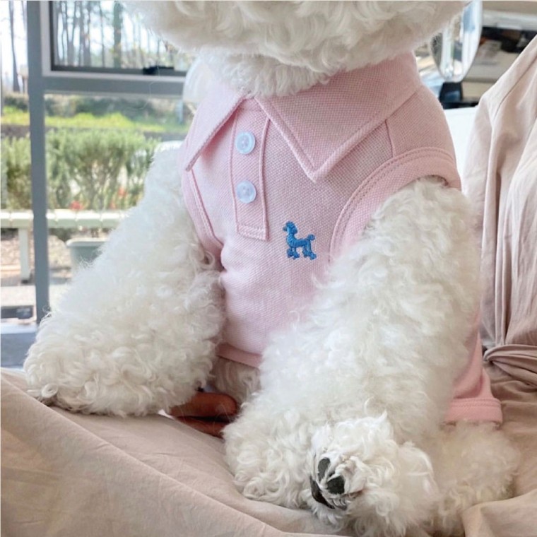 [쵸알쓰] PET 강아지 옷 카라티 커플룩 pk 티셔츠