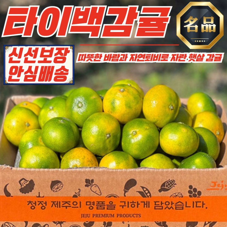 [제주명품] 무료배송 제주 햇살 타이백 감귤 로얄 4.5kg