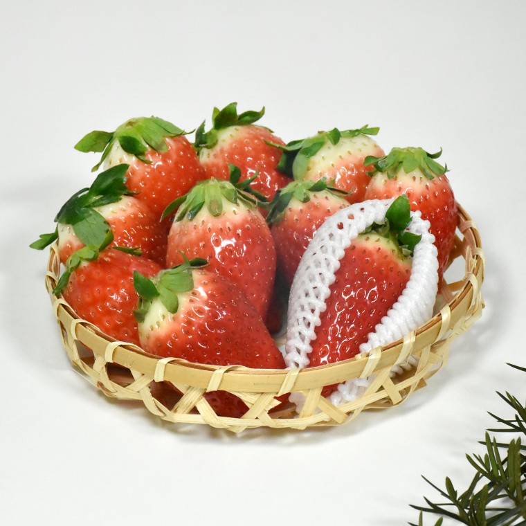 [과일 가게] 무료배송 킹스베리딸기 킹스베리 딸기 24구 [대] 800g 내외 딸기