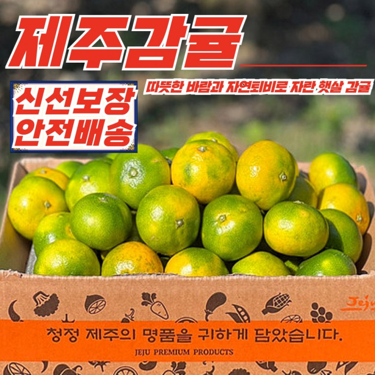 [산지직송] 무료배송 제주 햇살 극조생 감귤 소과 2.5kg