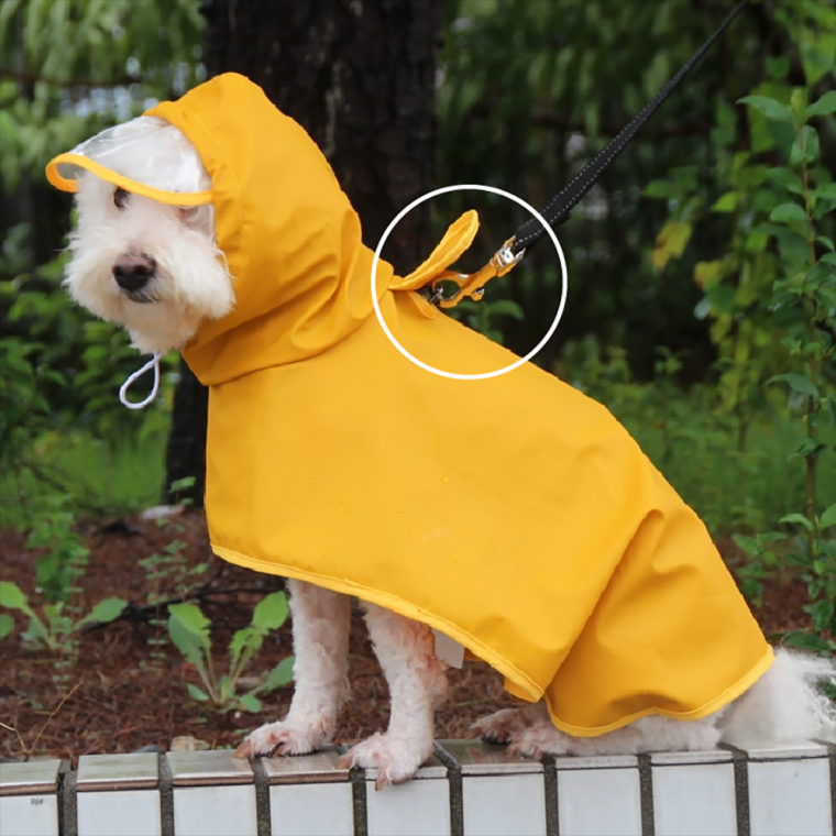 [쵸알쓰] 강아지 우비 배덮개포함 방수 발수 레인코트 반려동물 판초 비옷