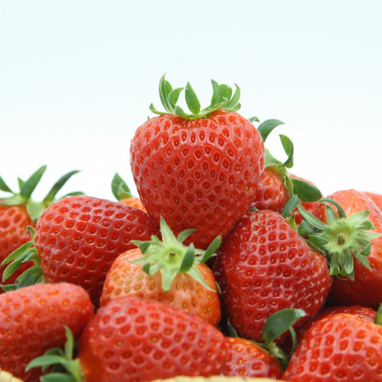 [과일 가게] 무료배송 설향딸기 논산 설향 딸기 42구 750g내외 딸기