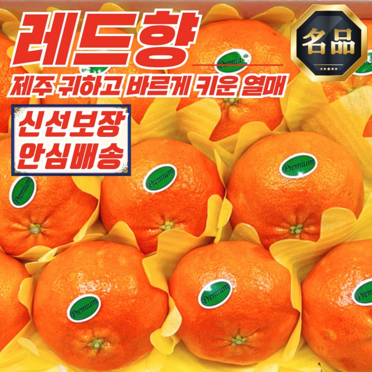 [푸디픽] 청정 제주 자연 레드향 로얄 1.8kg